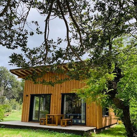 Kingfisher De Los Andes Villa Meliquina Exteriör bild