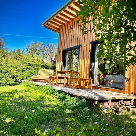 Kingfisher De Los Andes Villa Meliquina Exteriör bild