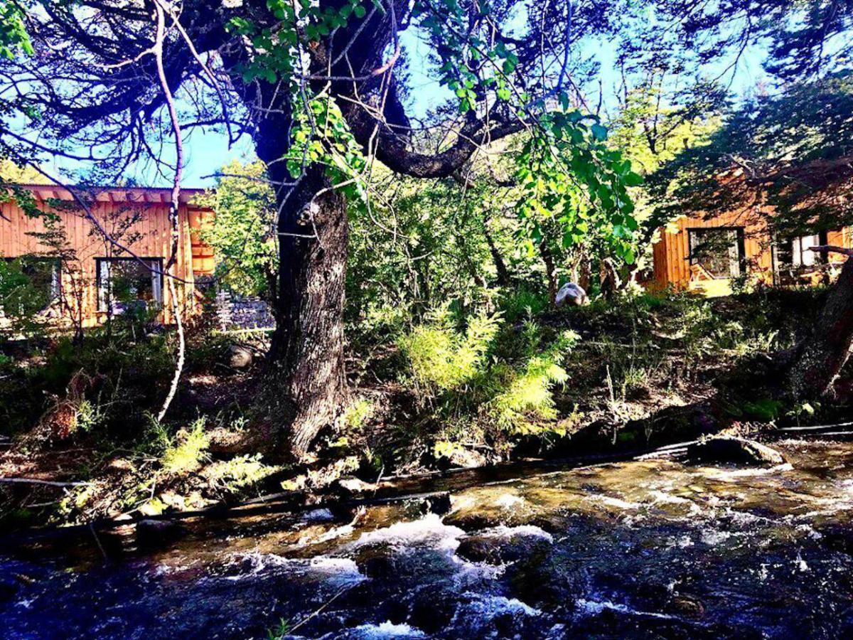 Kingfisher De Los Andes Villa Meliquina Exteriör bild