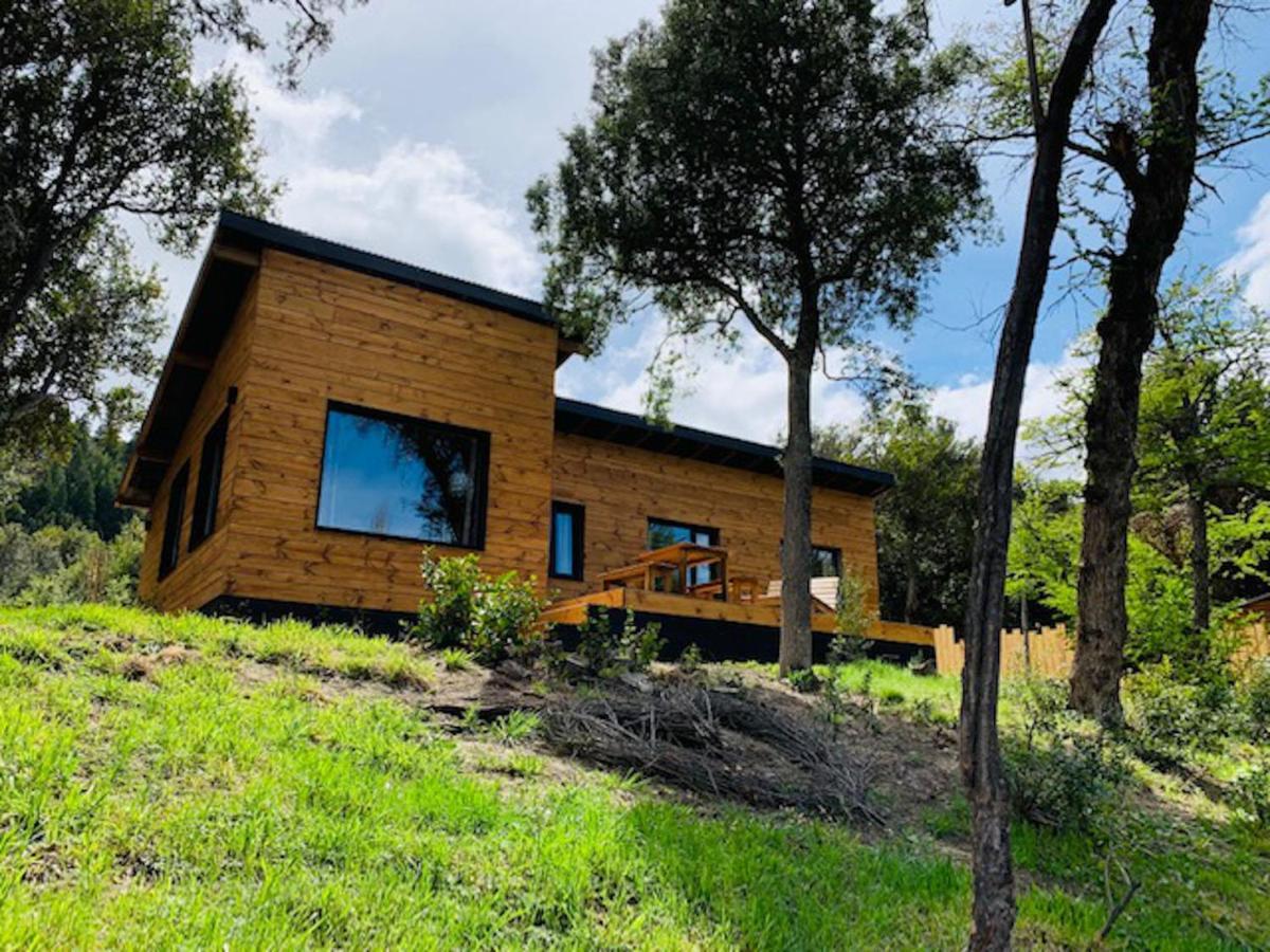 Kingfisher De Los Andes Villa Meliquina Exteriör bild