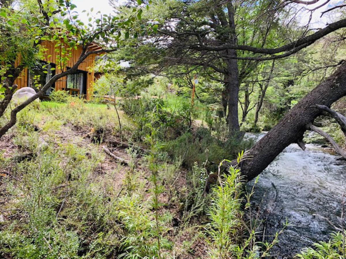 Kingfisher De Los Andes Villa Meliquina Exteriör bild